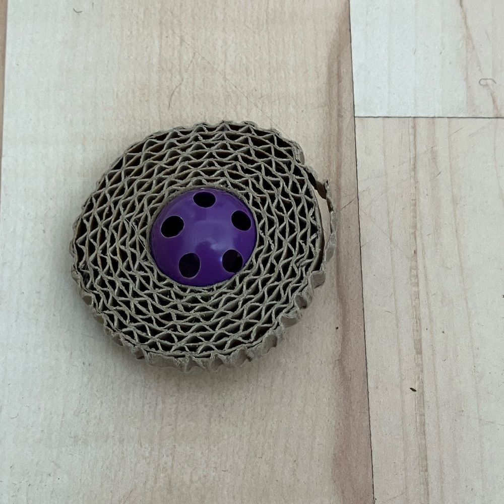 Gently Used Cat Toy